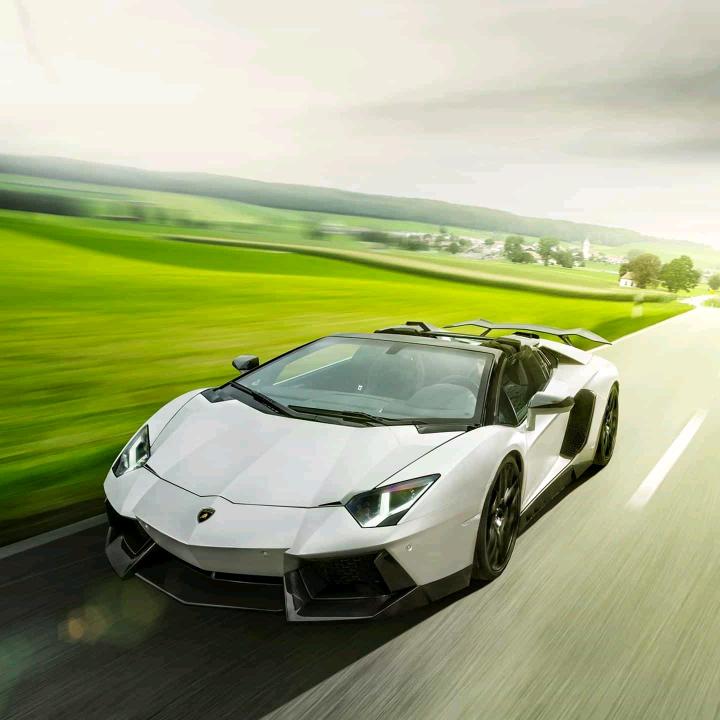 自由自在每一天