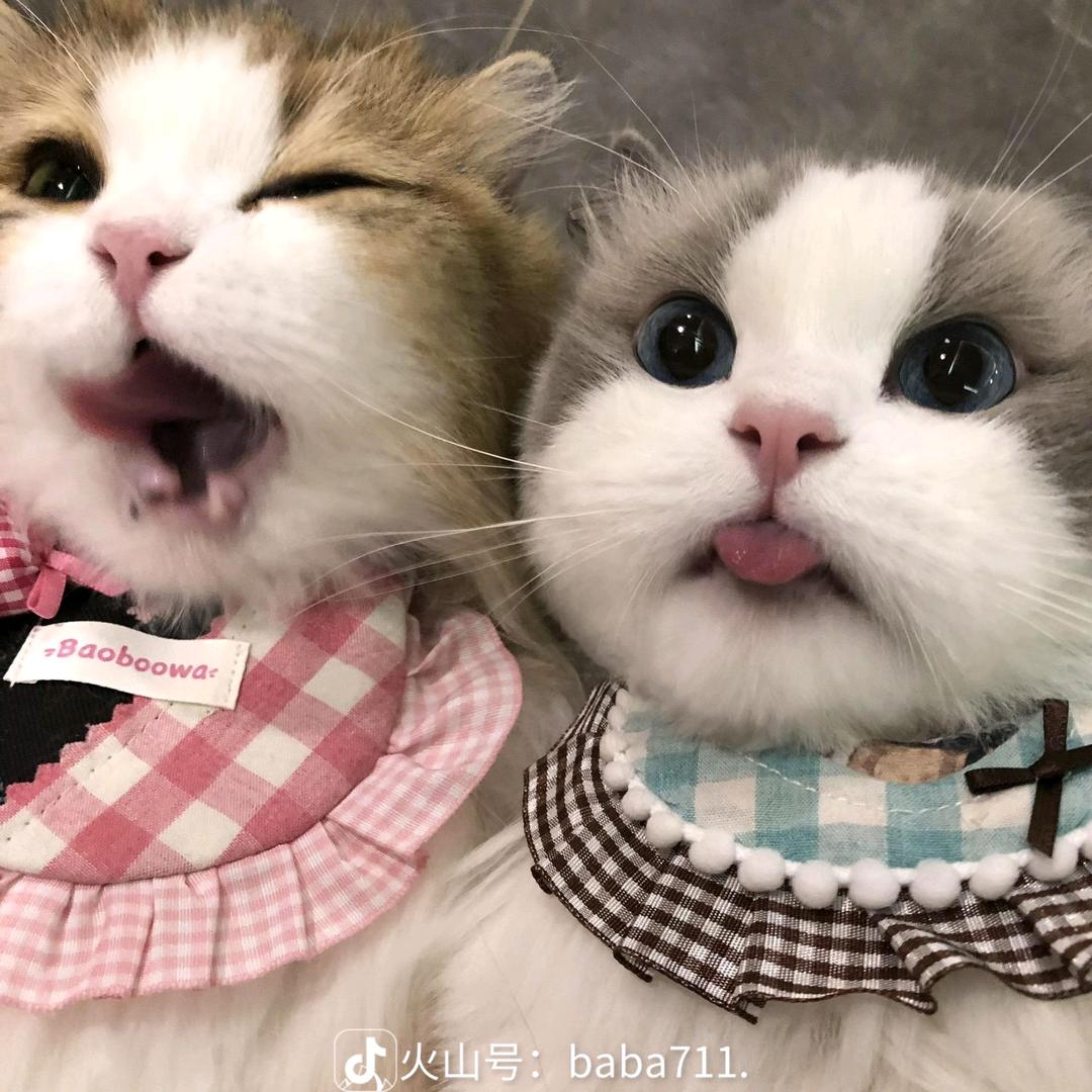 一人终老