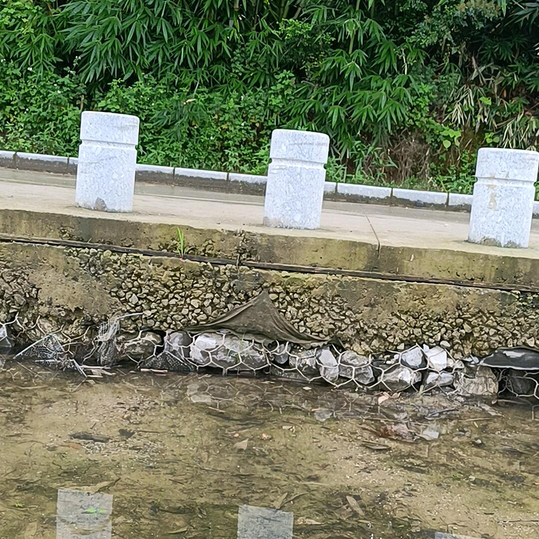 看能不能实现自己梦想