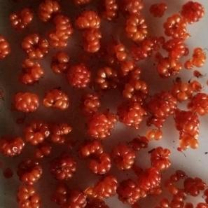 果园大王饶姐🔥……