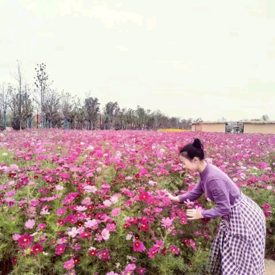 梅子🌸