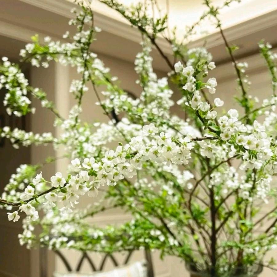 悠悠花语个体店