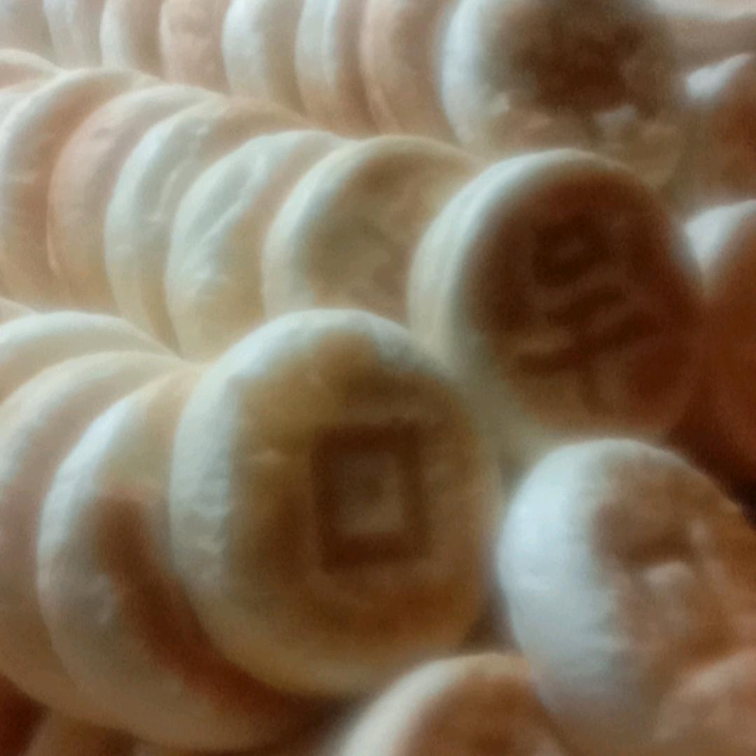 东莞长安人在陕西