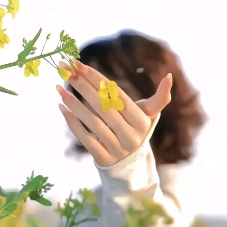 👛装满何包👛