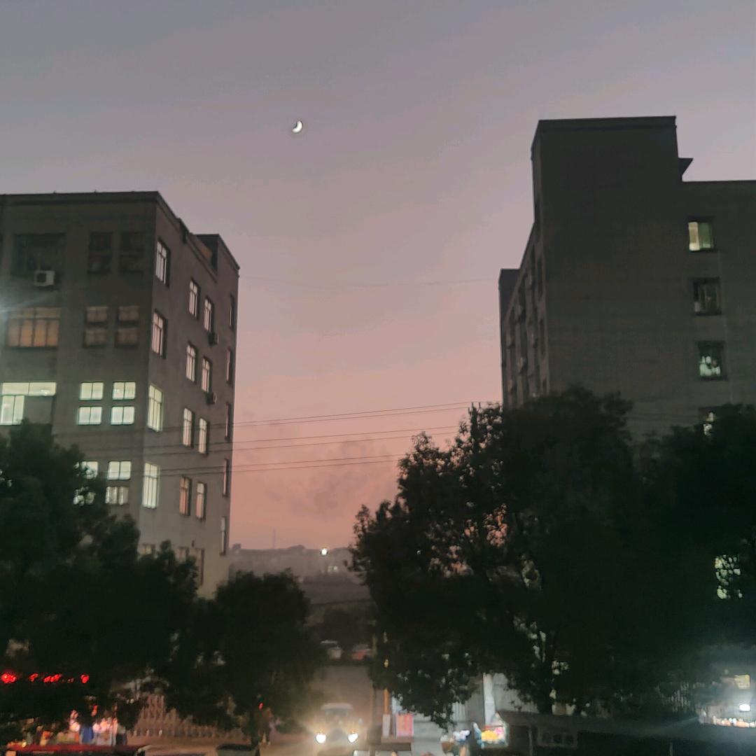 阿洋家裤头