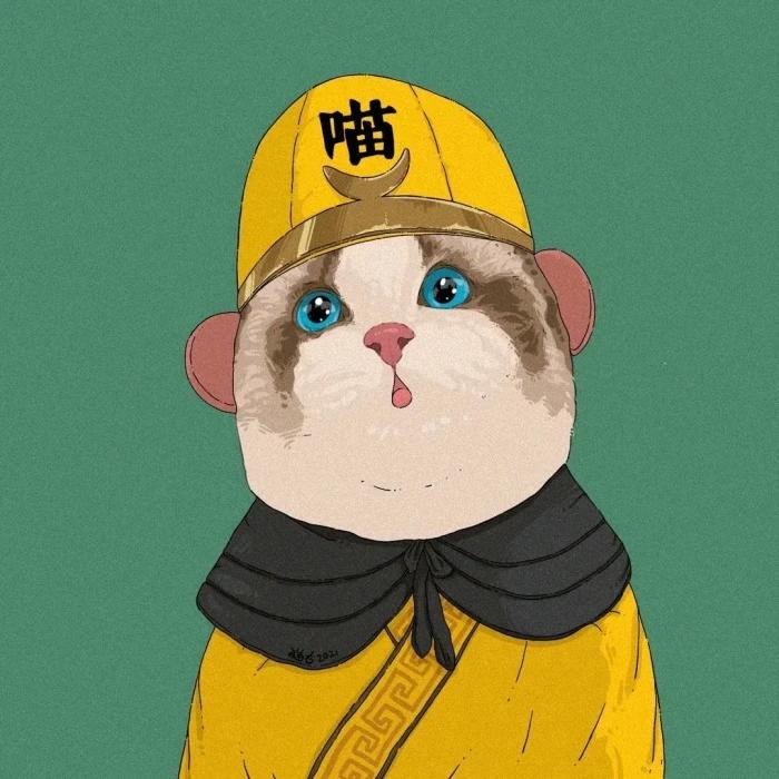 喵了个鱼🐟