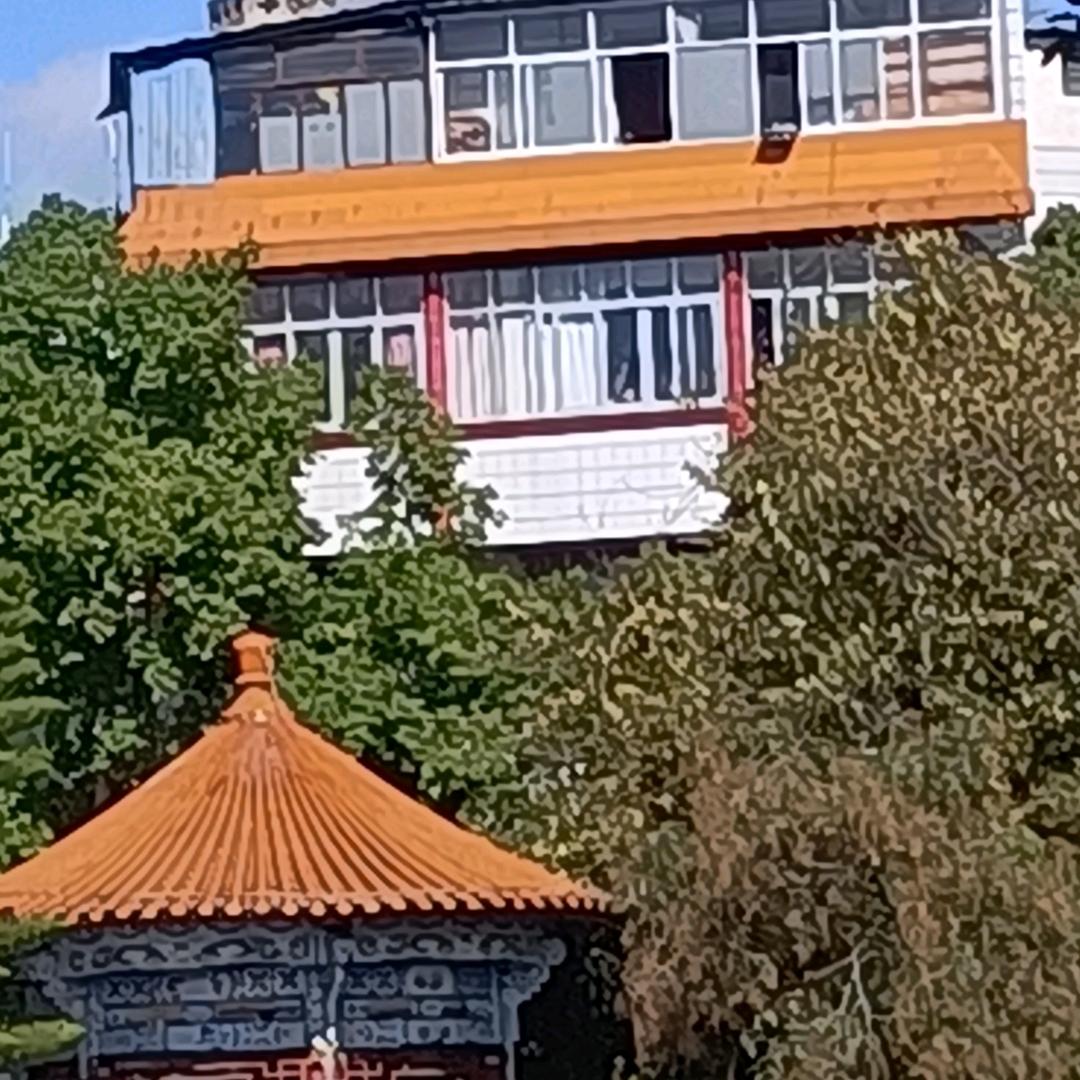 爱你不后悔。