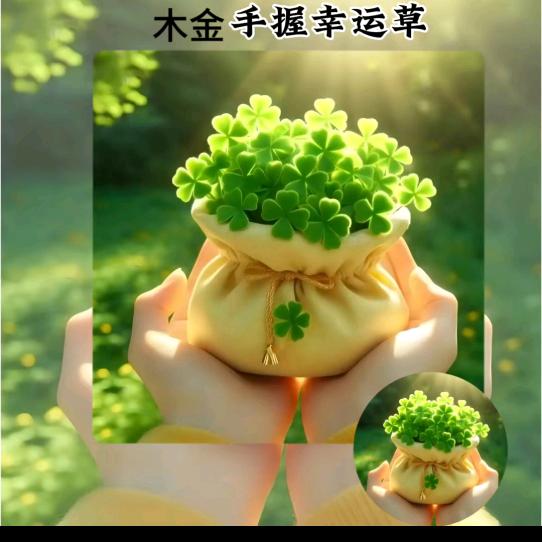 🍒💞秀秀🌈