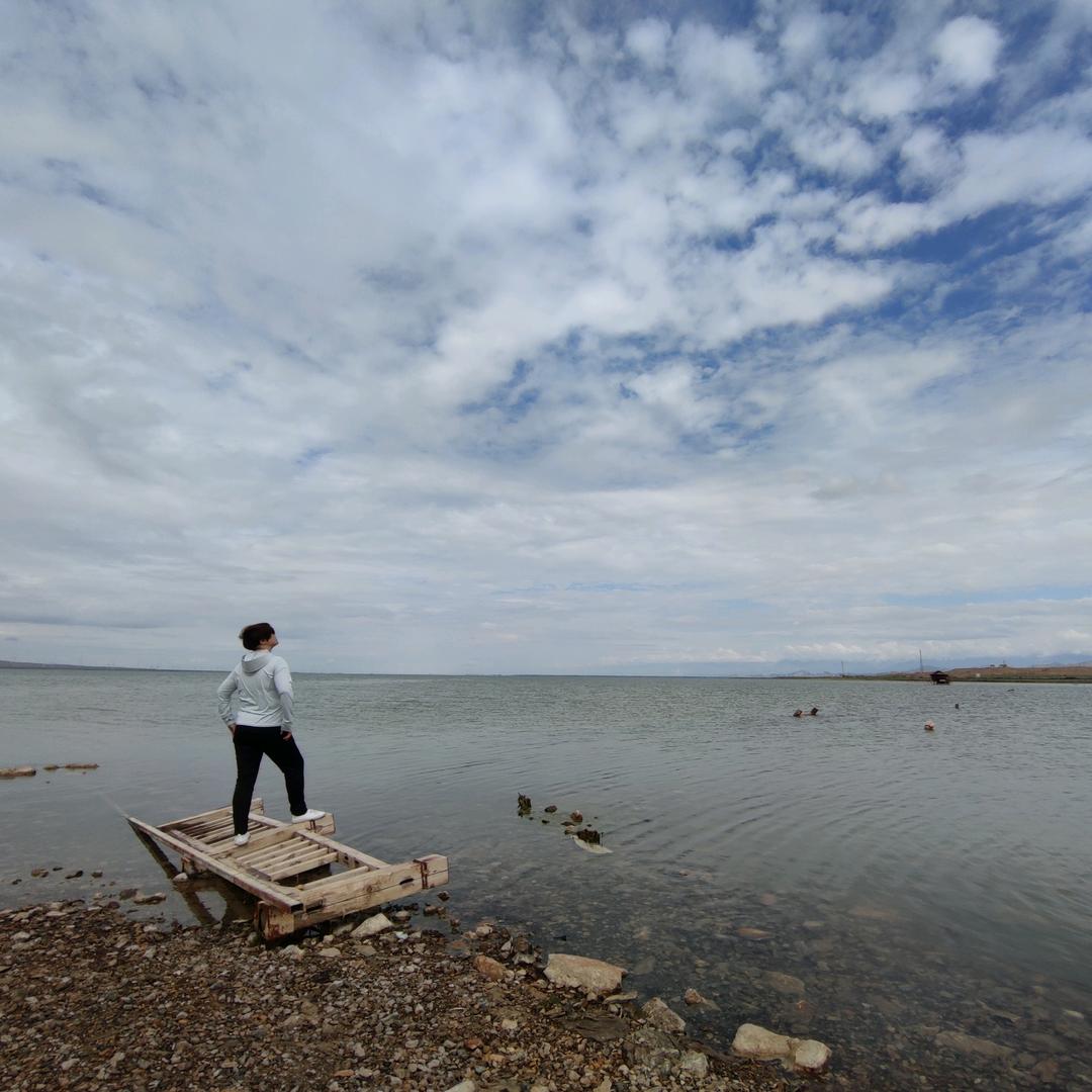 燕🌹🌹🌹🌹🌹