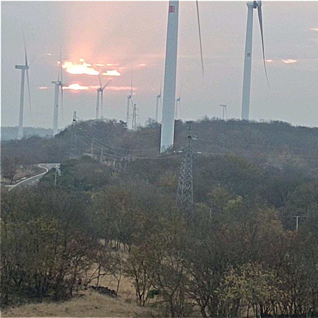 安徽来安原生态散养牛肉