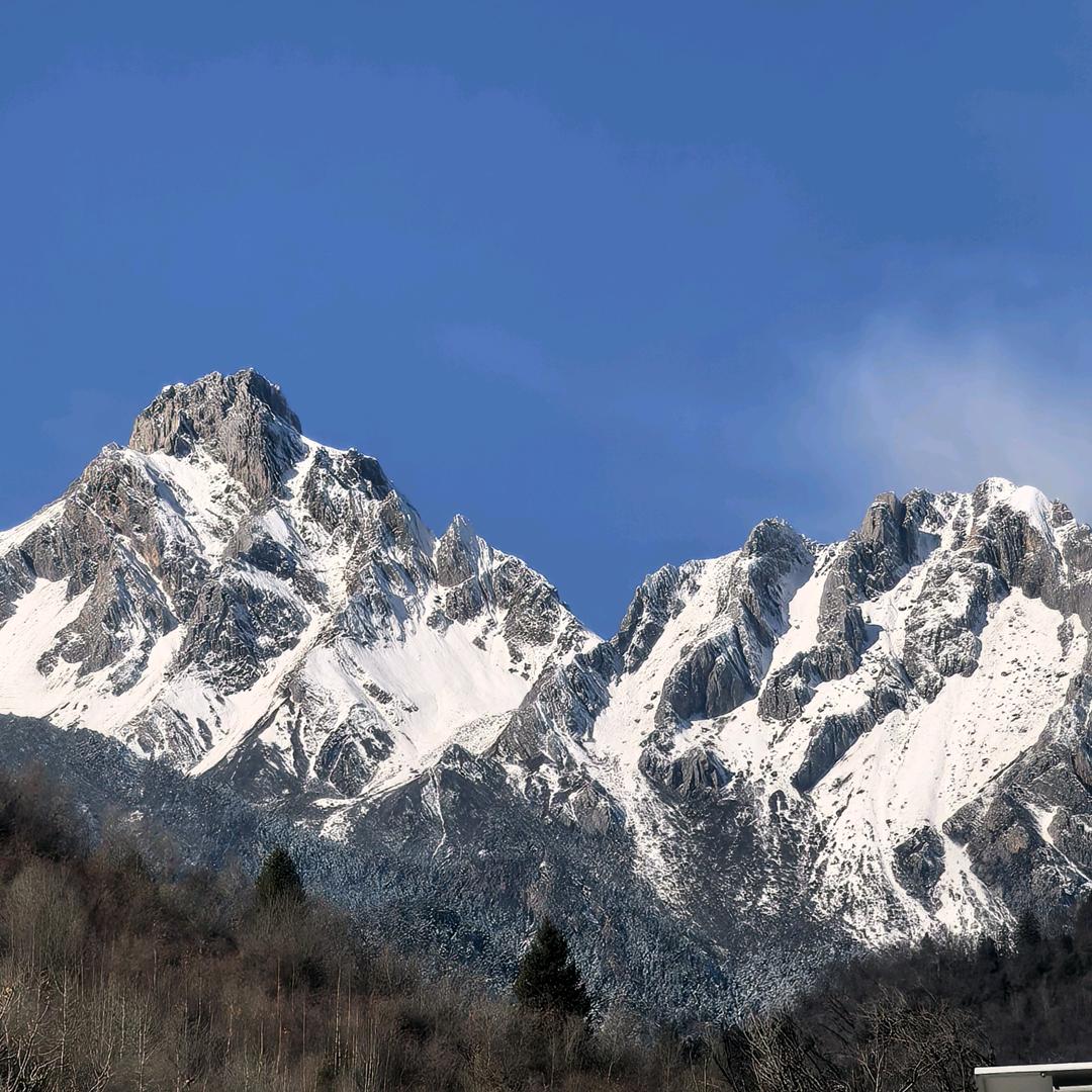 🐓⁰¹.₀₆龍励麒℘࿐