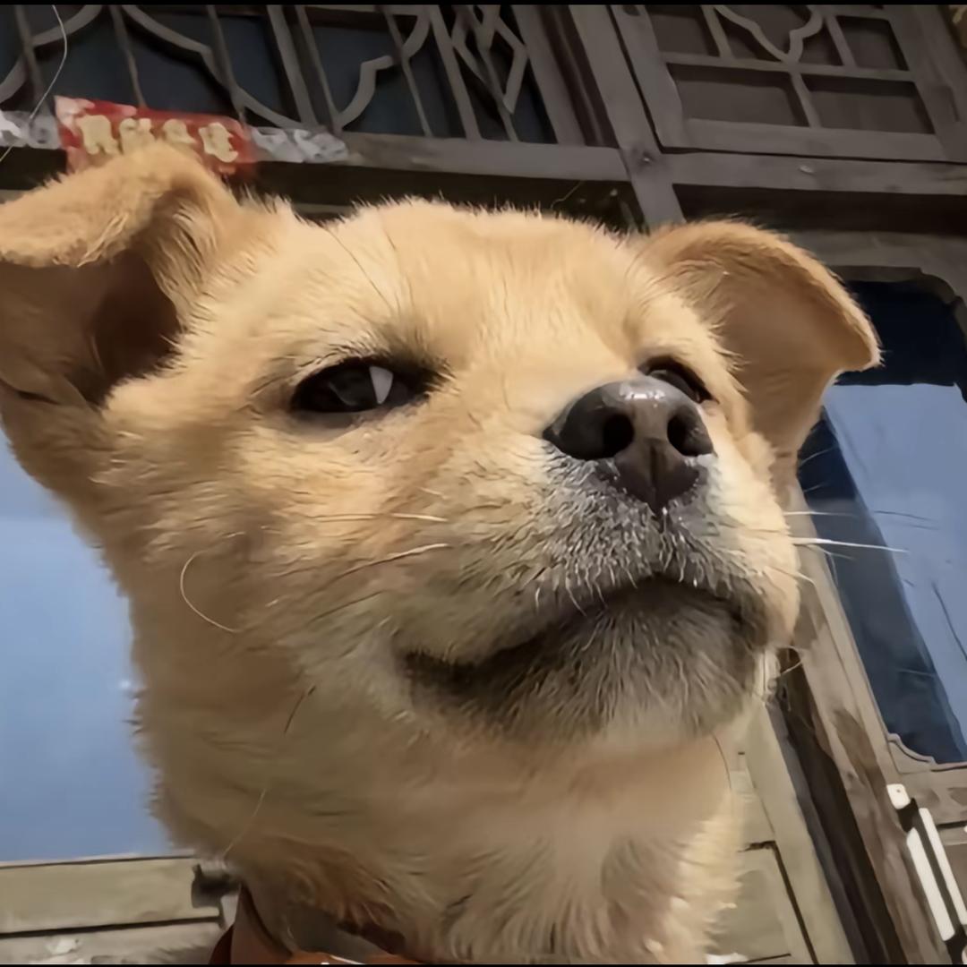 秋风