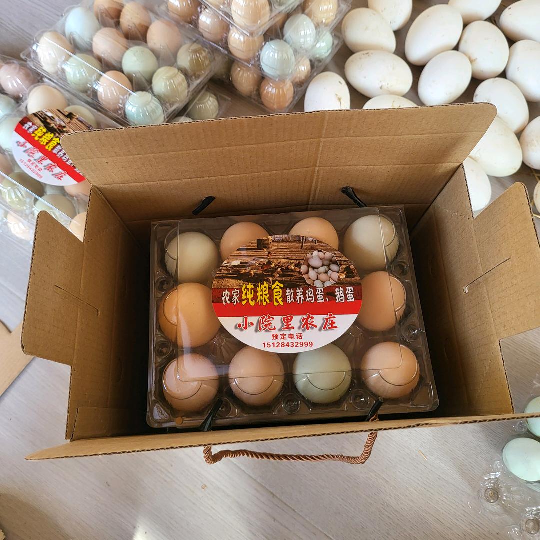 小院里农庄散养土鸡