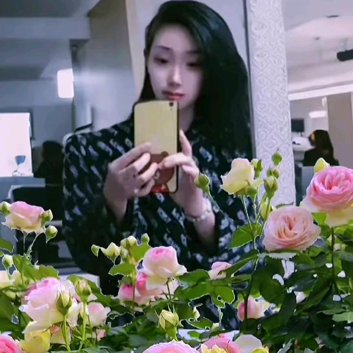 单身老板娘
