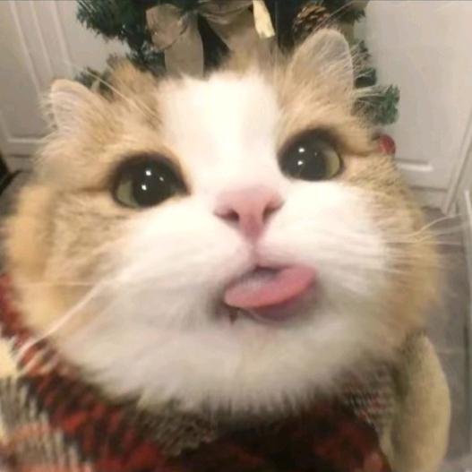 偷喝你的半瓶优酸乳