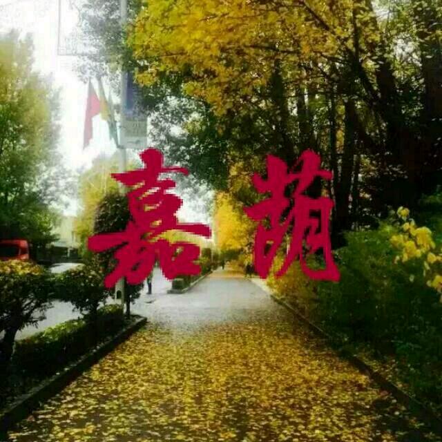 🇨🇳 Z F W 🇨🇳赵耀你我