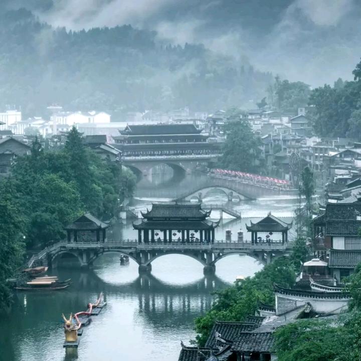 雪中情
