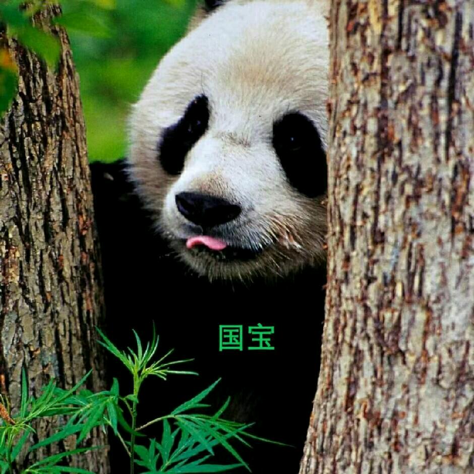 麻***: