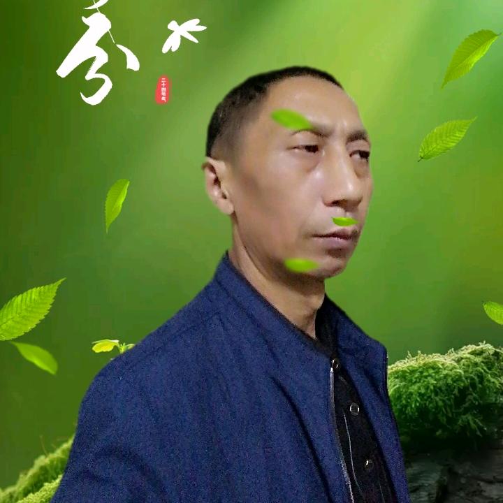 申 氏 装饰