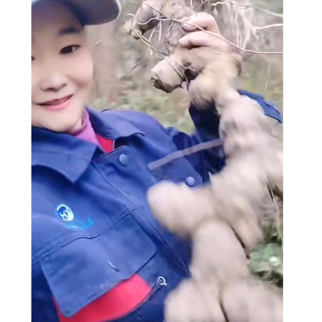 湘西土家三妹