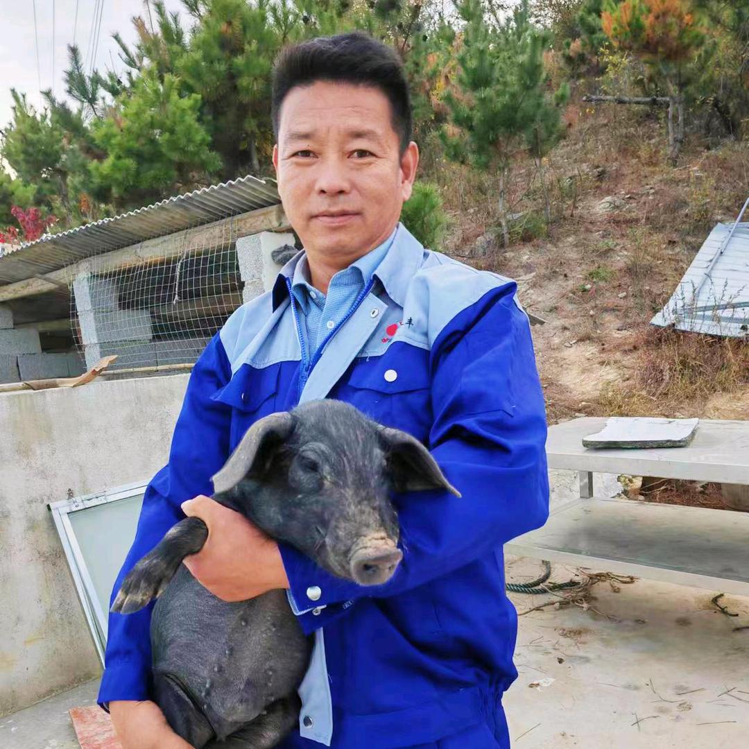 草豚香生态黑猪肉