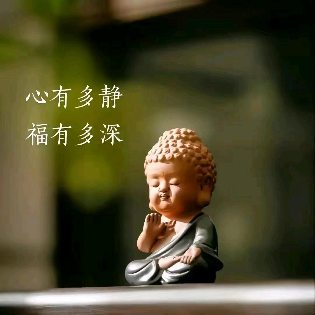 卟《褂》婚米业
