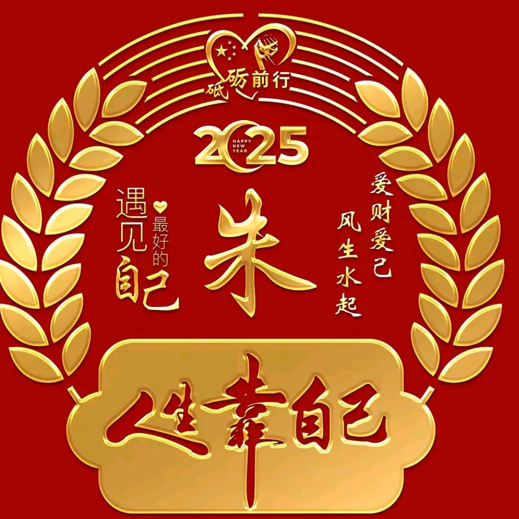 老实人（朱品中)