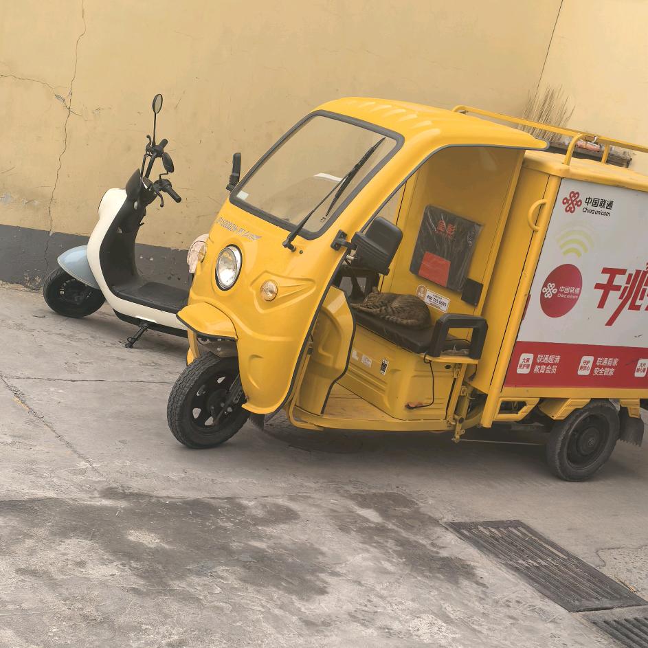 LT通通