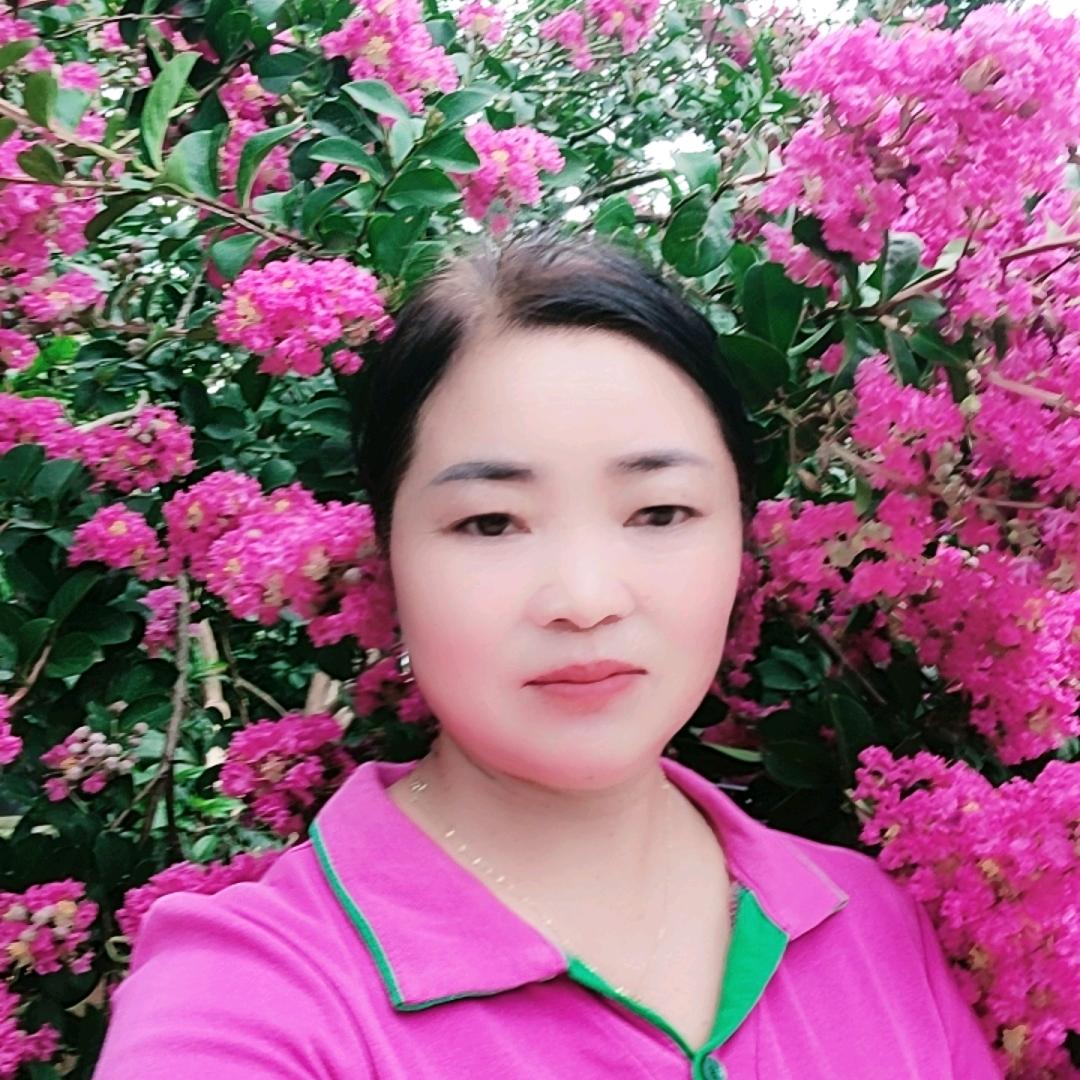 无怨无悔《杨》