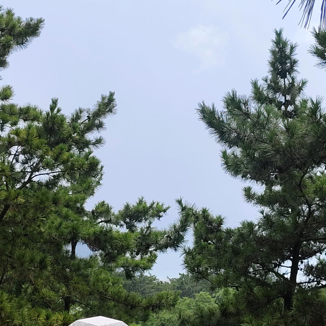 铭艺