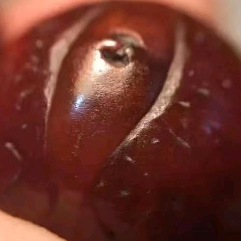 菩提故事