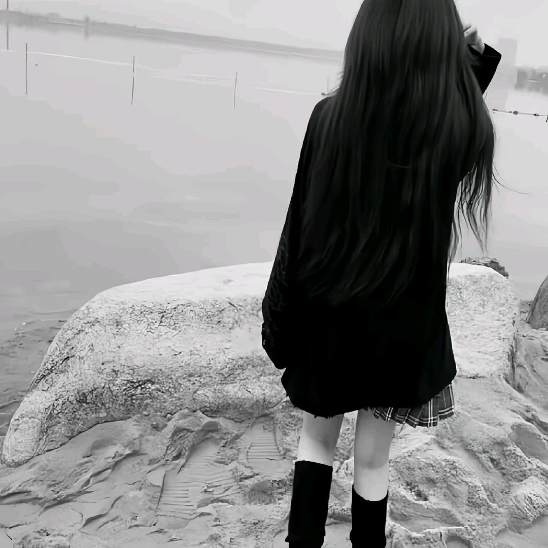 何婕妤