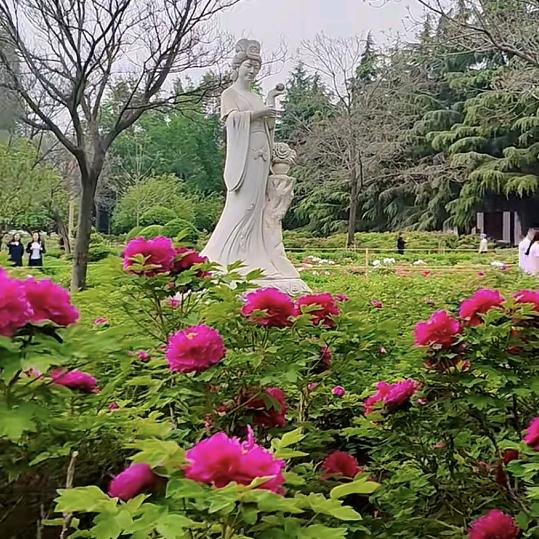 飞鹰电工小贾