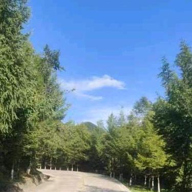 花仙子彩绘