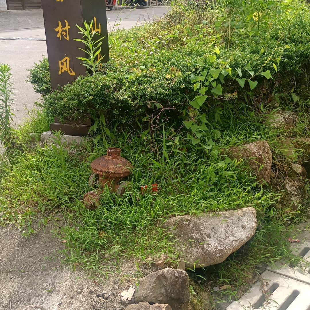 ：时光不老我们不散