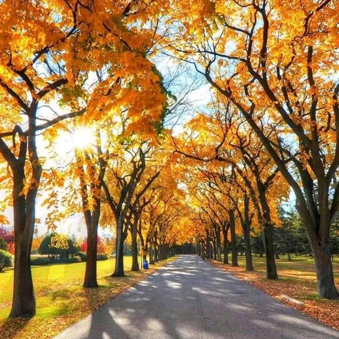 鸟语花香黄商二楼芬腾内衣