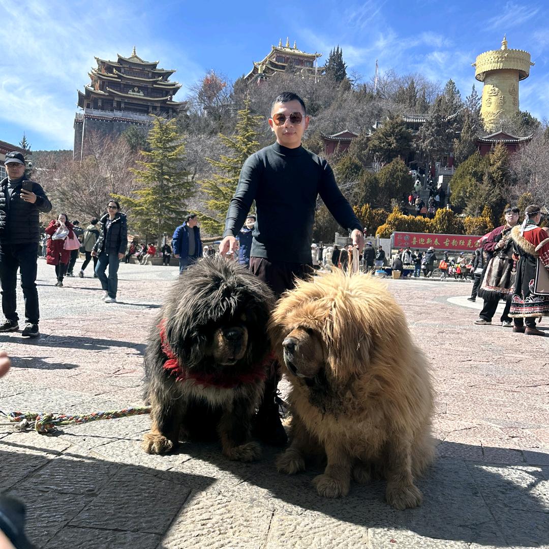 老木工玩抖音木工装修