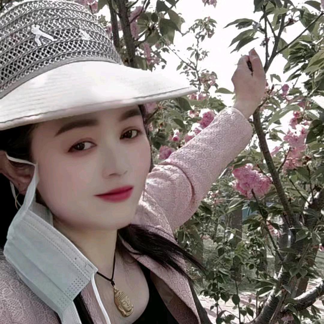 蝶梦