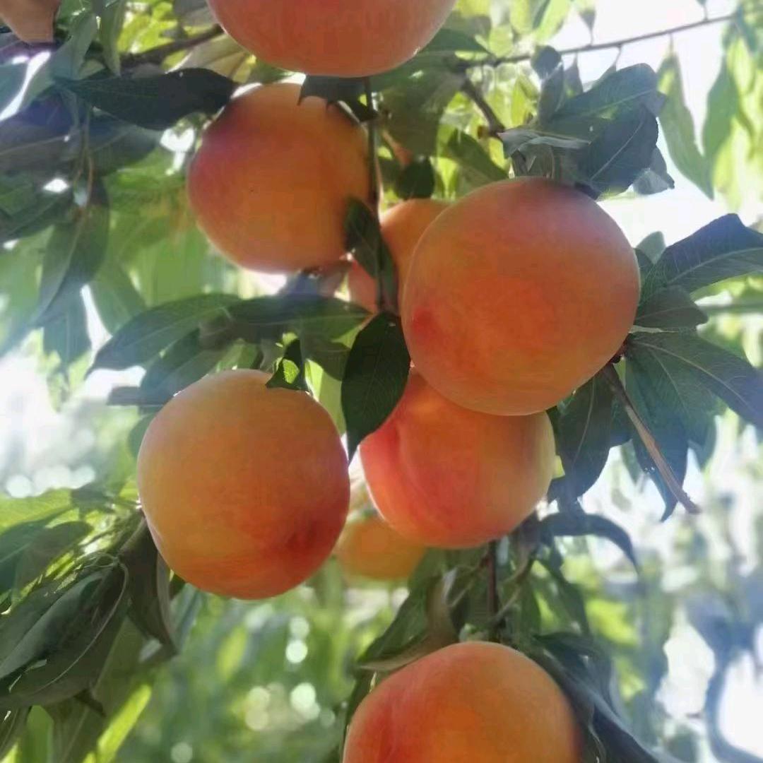 开心❤️每一天