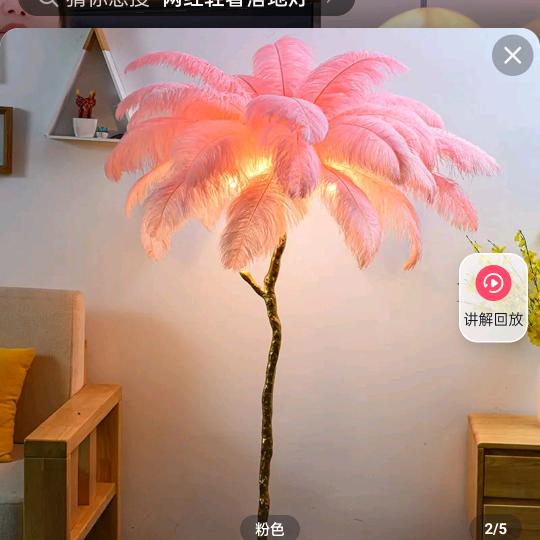 玫瑰