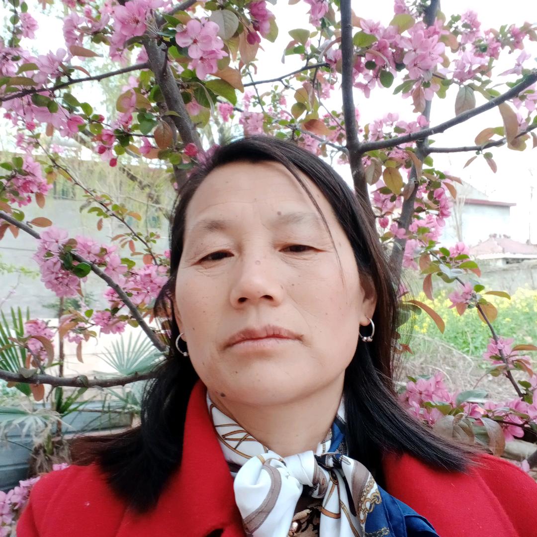 毕丽