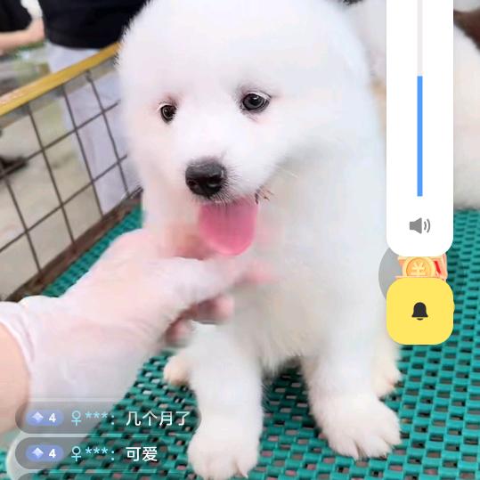 苏书安