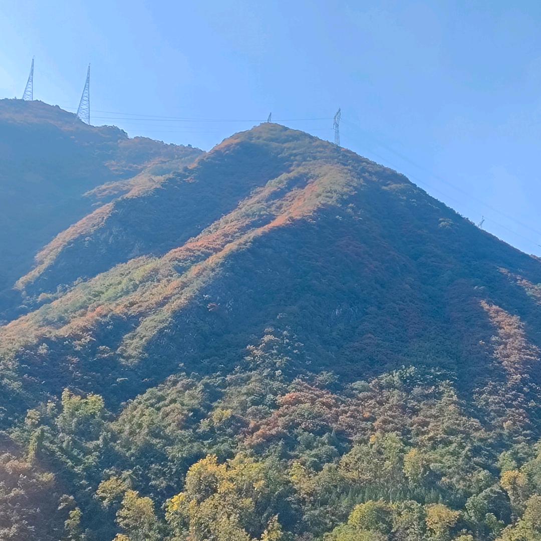 衍珩