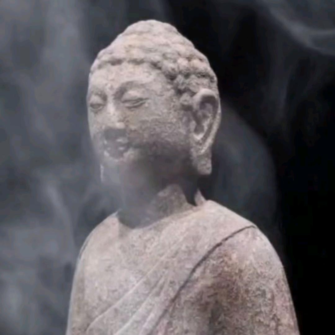 藏缘天下