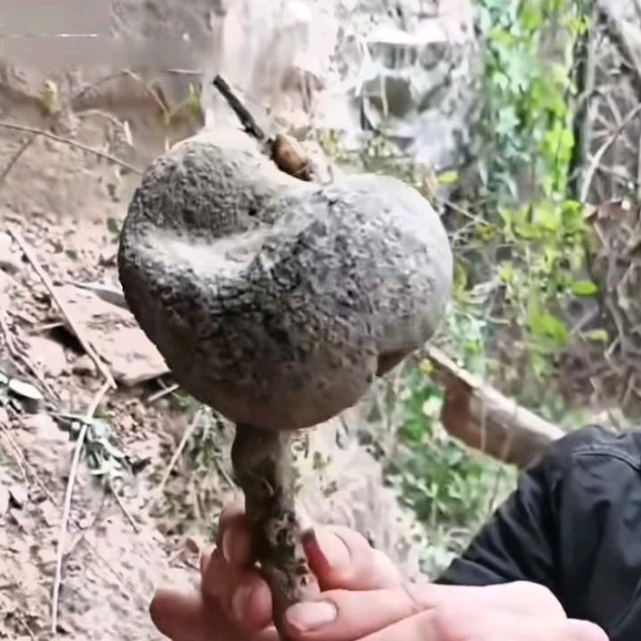 牛逼人找牛逼桩出牛逼货