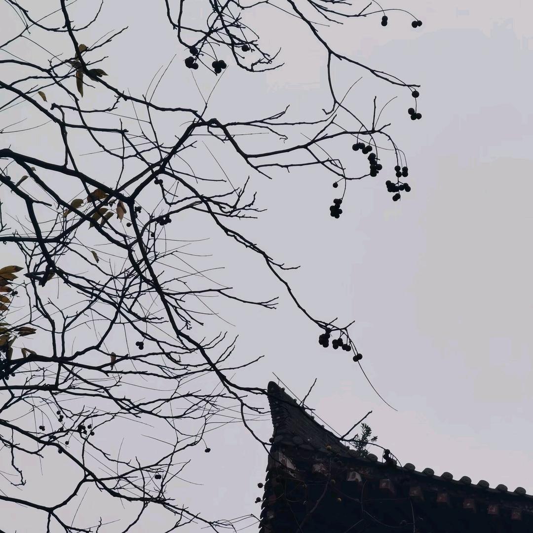 肖ang不ang