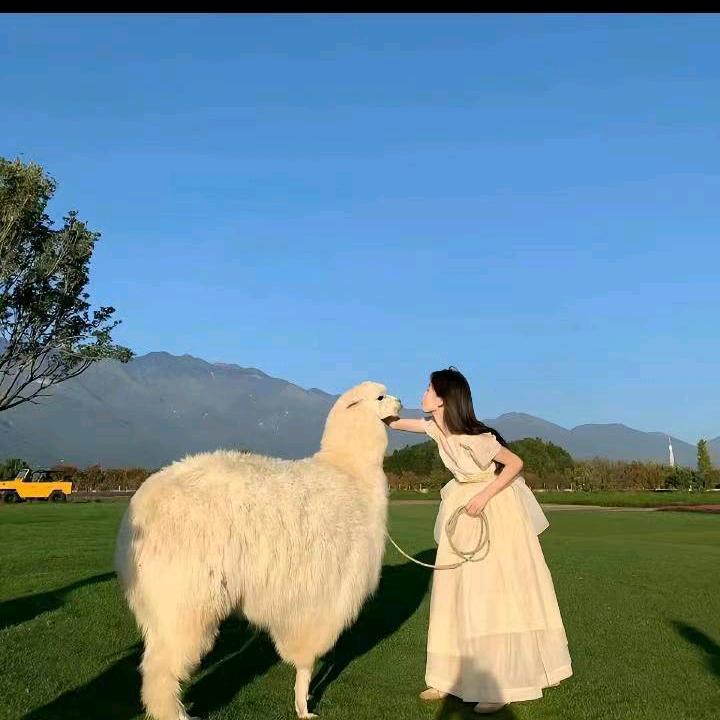 卜时