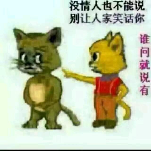 野蔷薇