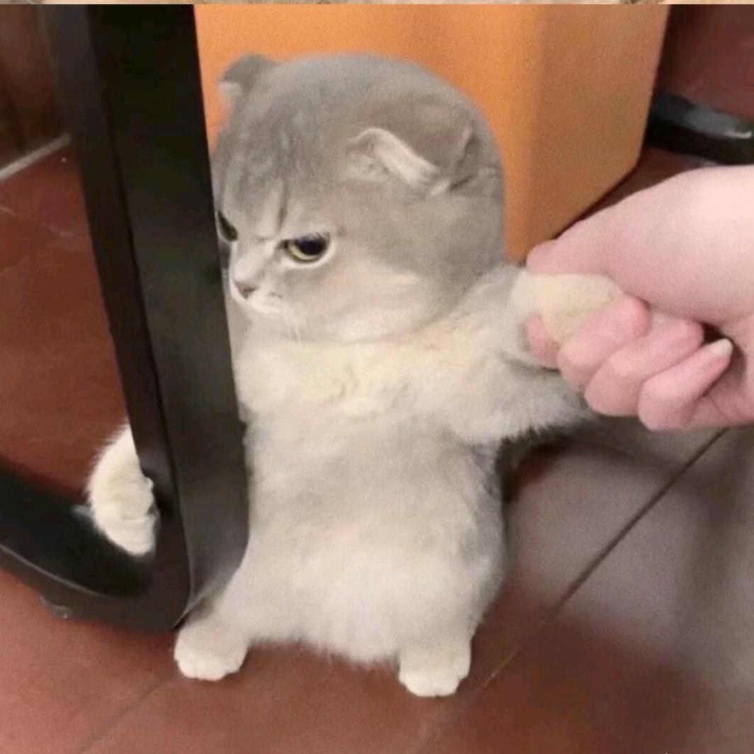 绘梦