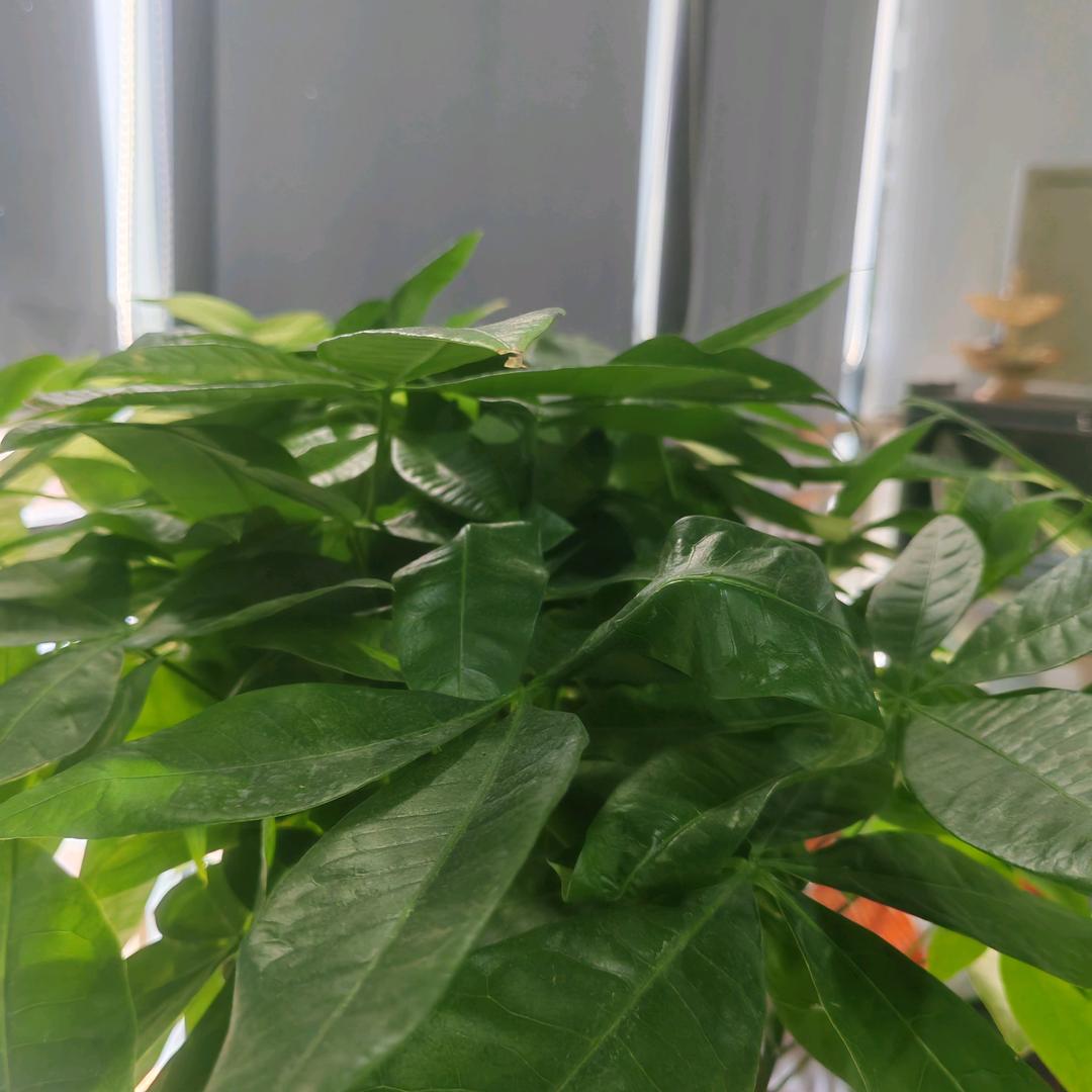 海口琼山金姐经花家政服务部